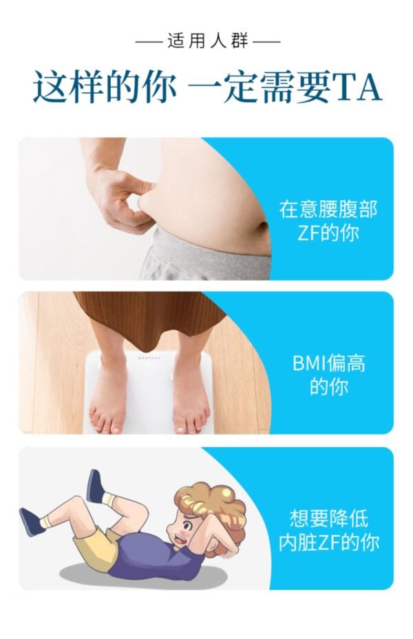 日本NakattaKotoni graphico减少腹部皮下脂肪和内脏脂肪酵素 28粒