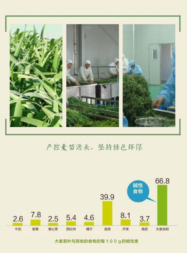 日本山本汉方大麦若叶青汁粉末 3g*44包