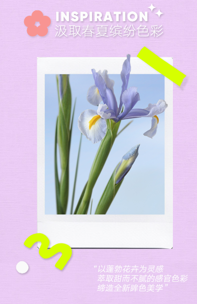 Judydoll Orange 7-color Playful Combination Plate 8.5g Multi-color Selection