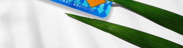 日本NakattaKotoni graphico减少腹部皮下脂肪和内脏脂肪酵素 28粒