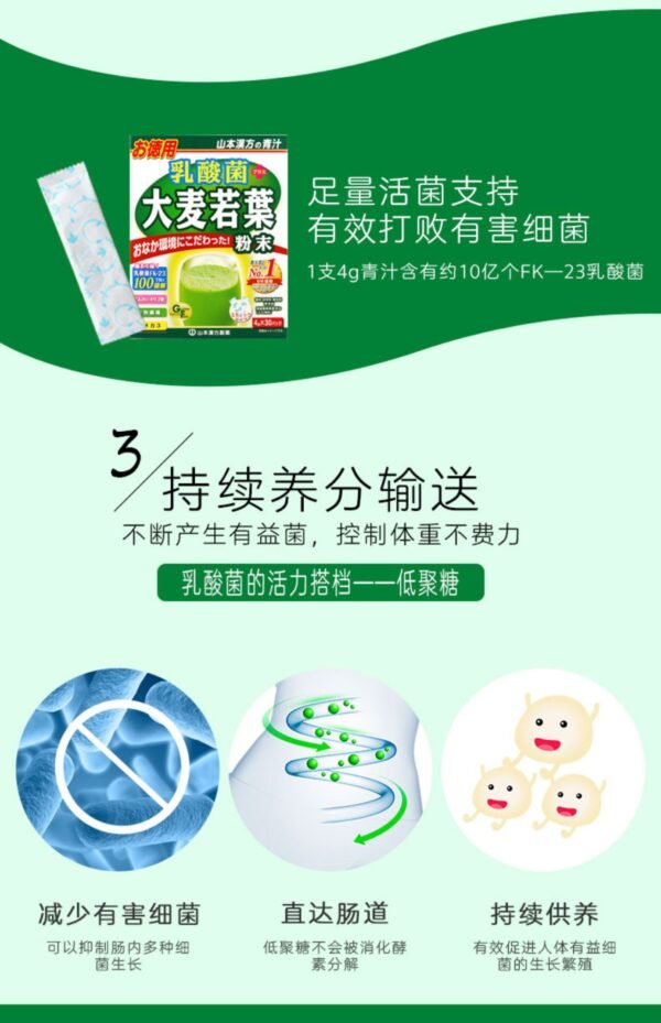 日本山本汉方乳酸菌大麦若叶青汁粉末 4g*7包