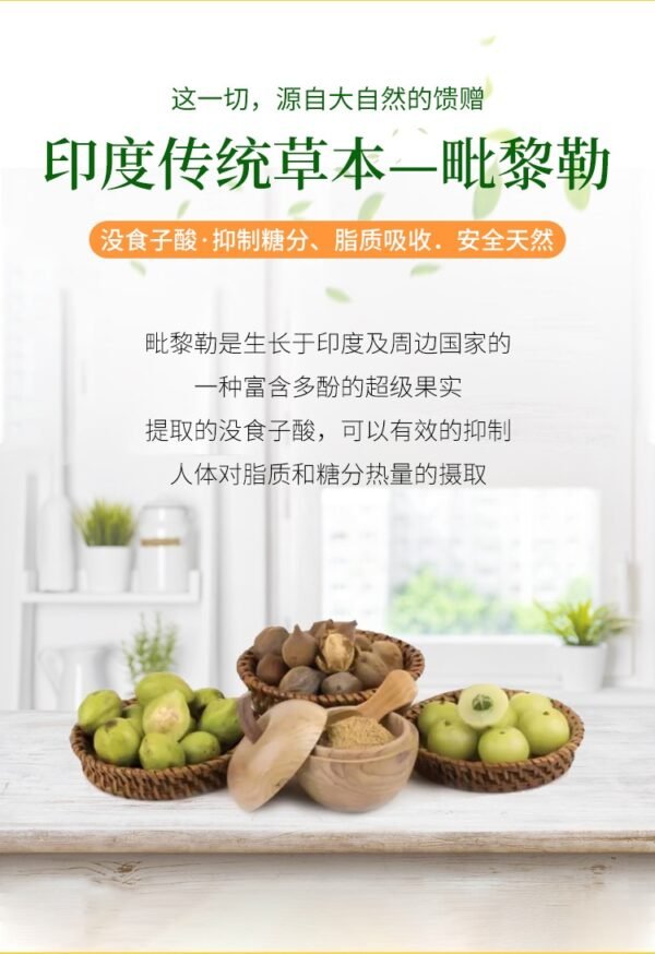 日本NakattaKotoni graphico抑制饭后糖脂肪吸收降低血糖酵素 28粒