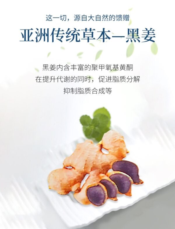 日本NakattaKotoni graphico减少腹部皮下脂肪和内脏脂肪酵素 28粒