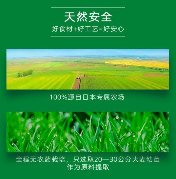 日本山本汉方乳酸菌大麦若叶青汁粉末 4g*7包