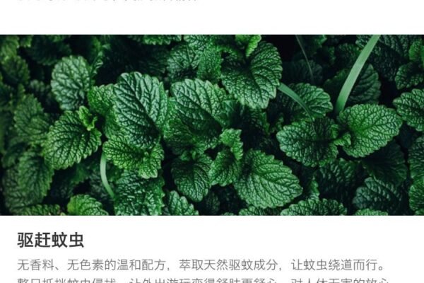 日本MUHI池田模范堂S2a清凉感止痒无比滴 50ml