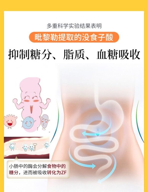 日本NakattaKotoni graphico抑制饭后糖脂肪吸收降低血糖酵素 28粒