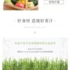 日本山本汉方大麦若叶青汁粉末 3g*22包