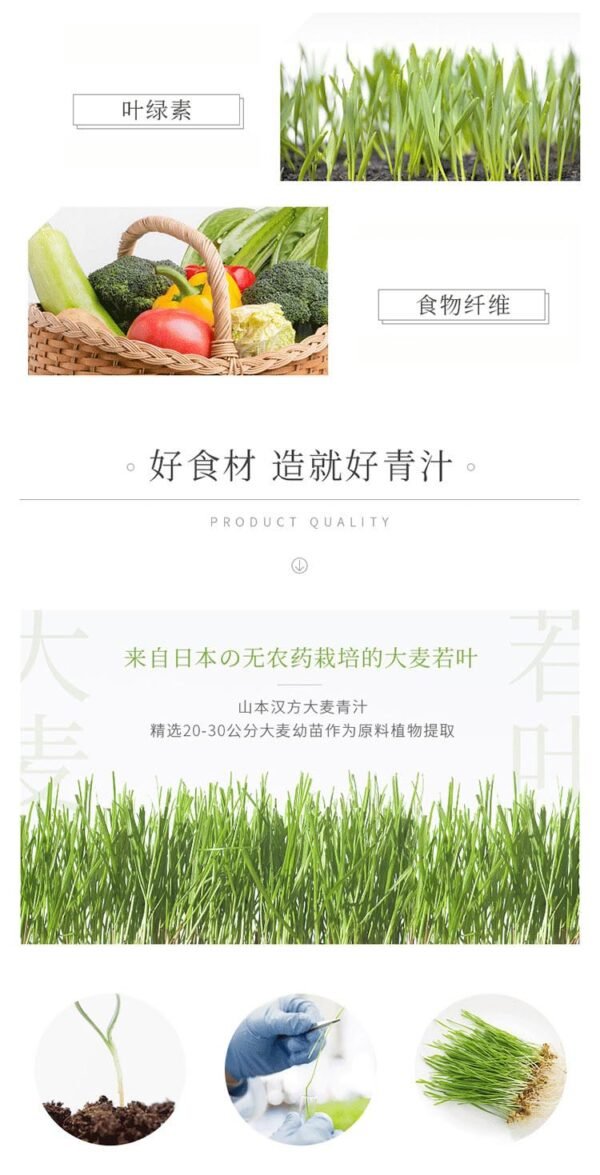 日本山本汉方大麦若叶青汁粉末 3g*22包