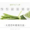 日本山本汉方大麦若叶青汁粉末 3g*22包