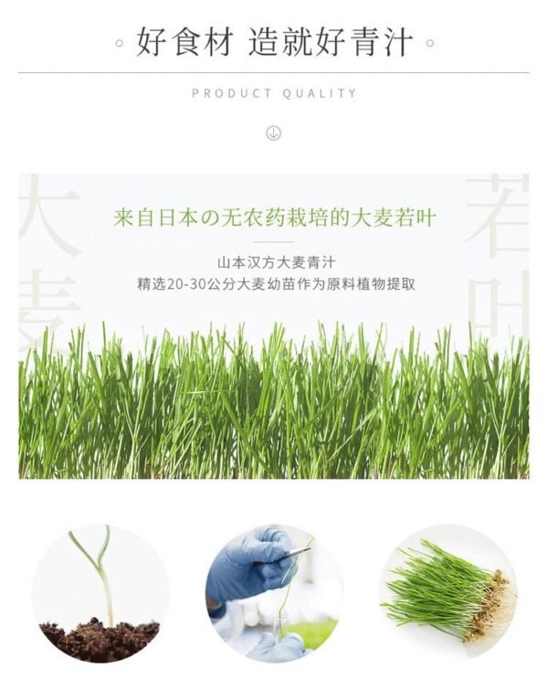 日本山本汉方大麦若叶青汁粉末 3g*44包