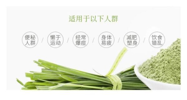 日本山本汉方大麦若叶青汁粉末 3g*44包