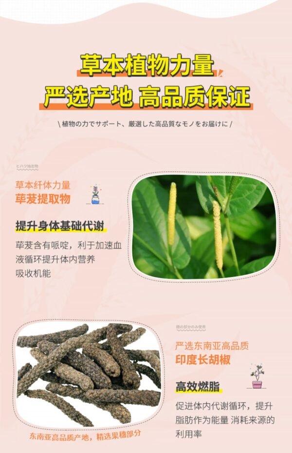 日本SVELTY Pakkun黑姜纤体丸 70粒